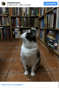 O Gato Que Lê - São Paulo, Brazil